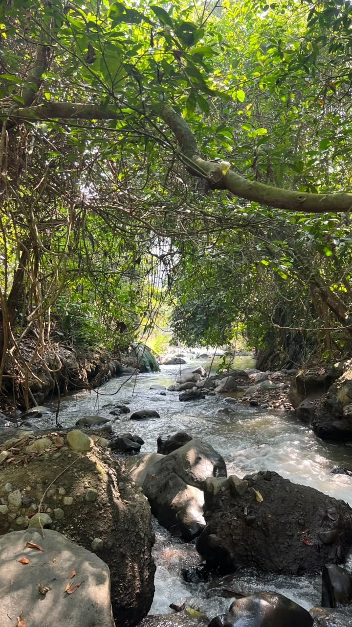 Ngarai sungai di kawasan Bunihayu Escape - Coming Soon