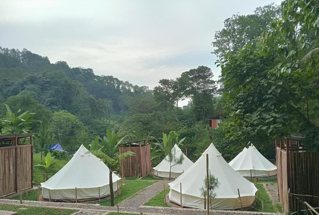 Tenda glamping di tengah hutan Bunihayu Forest